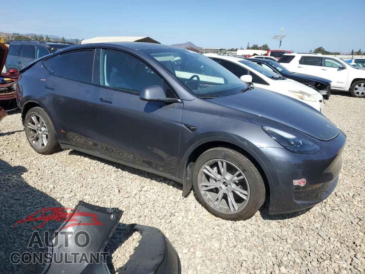 TESLA MODEL Y 2023 - 7SAYGAEE2PF917867