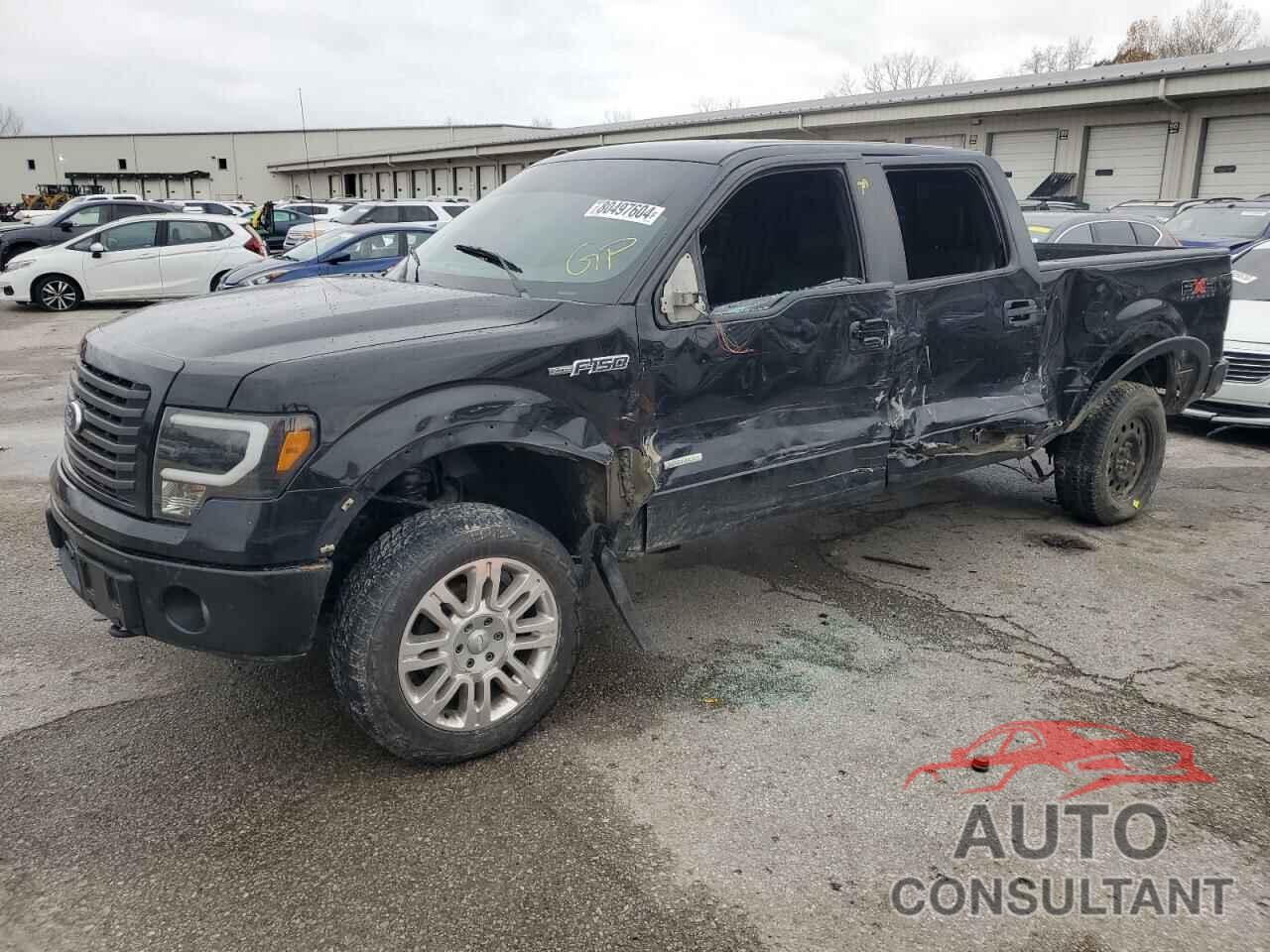 FORD F150 2011 - 1FTFW1ET3BFB15225