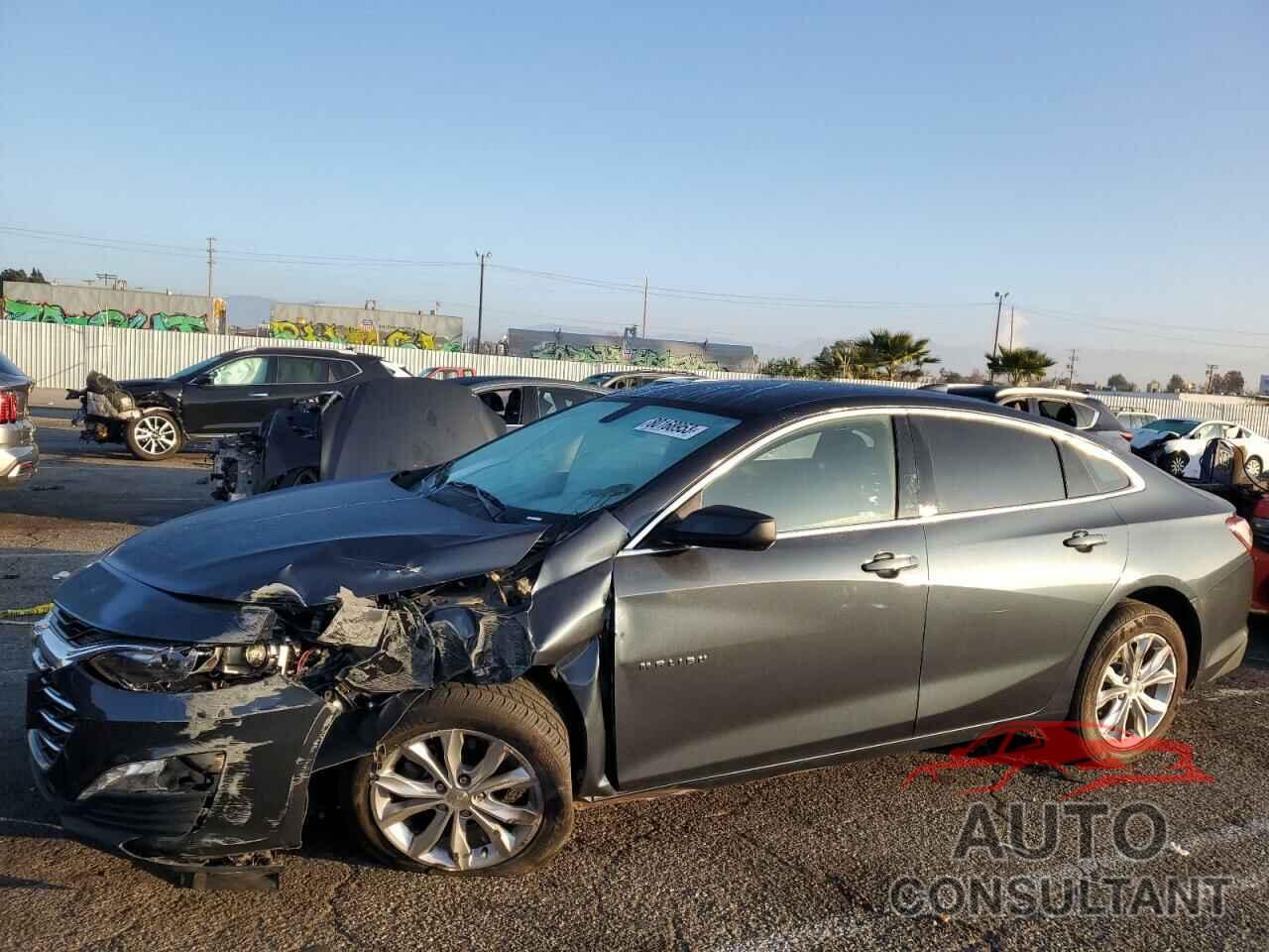 2019 MALIBU CHEVROLET