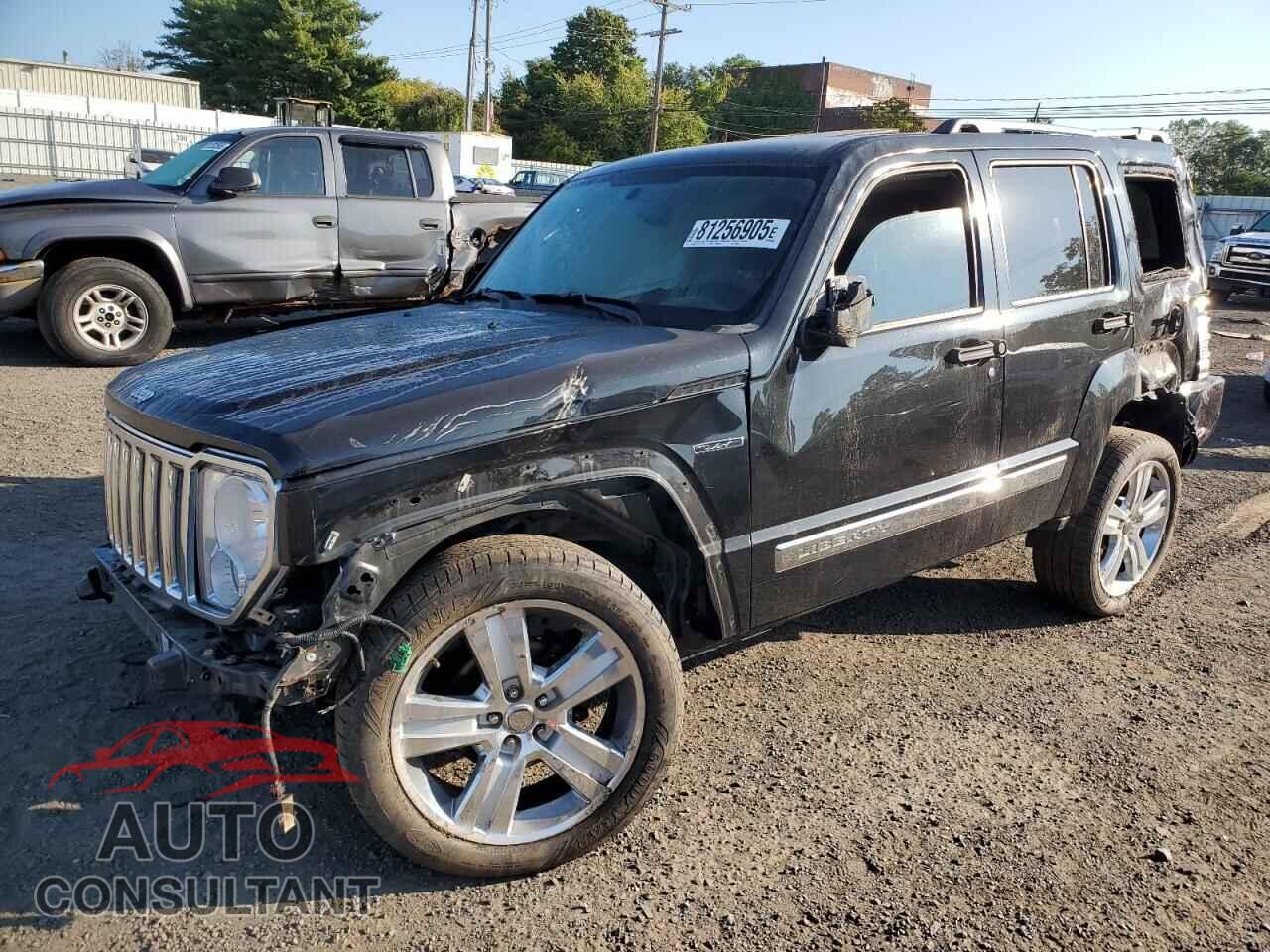 JEEP LIBERTY 2012 - 1C4PJMFK2CW152990