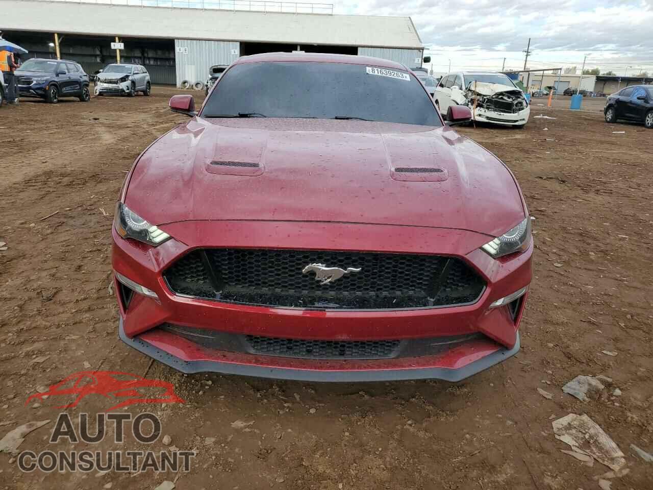 FORD MUSTANG 2019 - 1FA6P8CF0K5109056