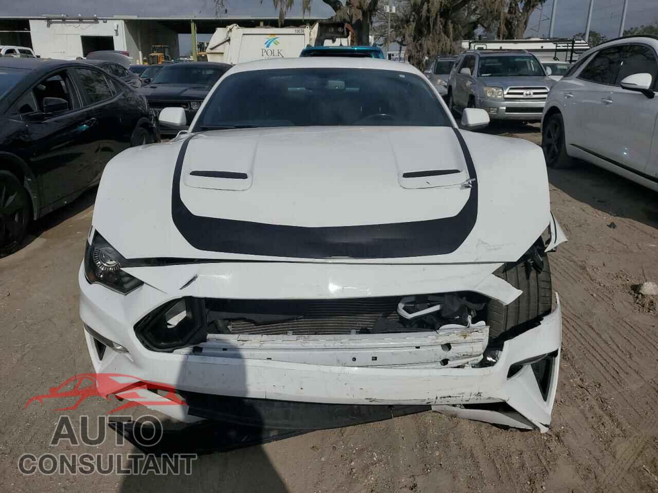 FORD MUSTANG 2019 - 1FA6P8CF2K5195647