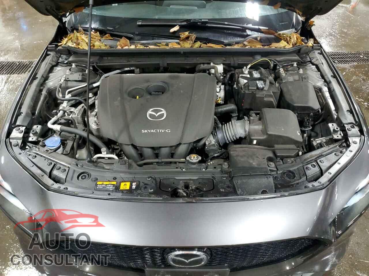 MAZDA 3 2019 - JM1BPBMM8K1133793