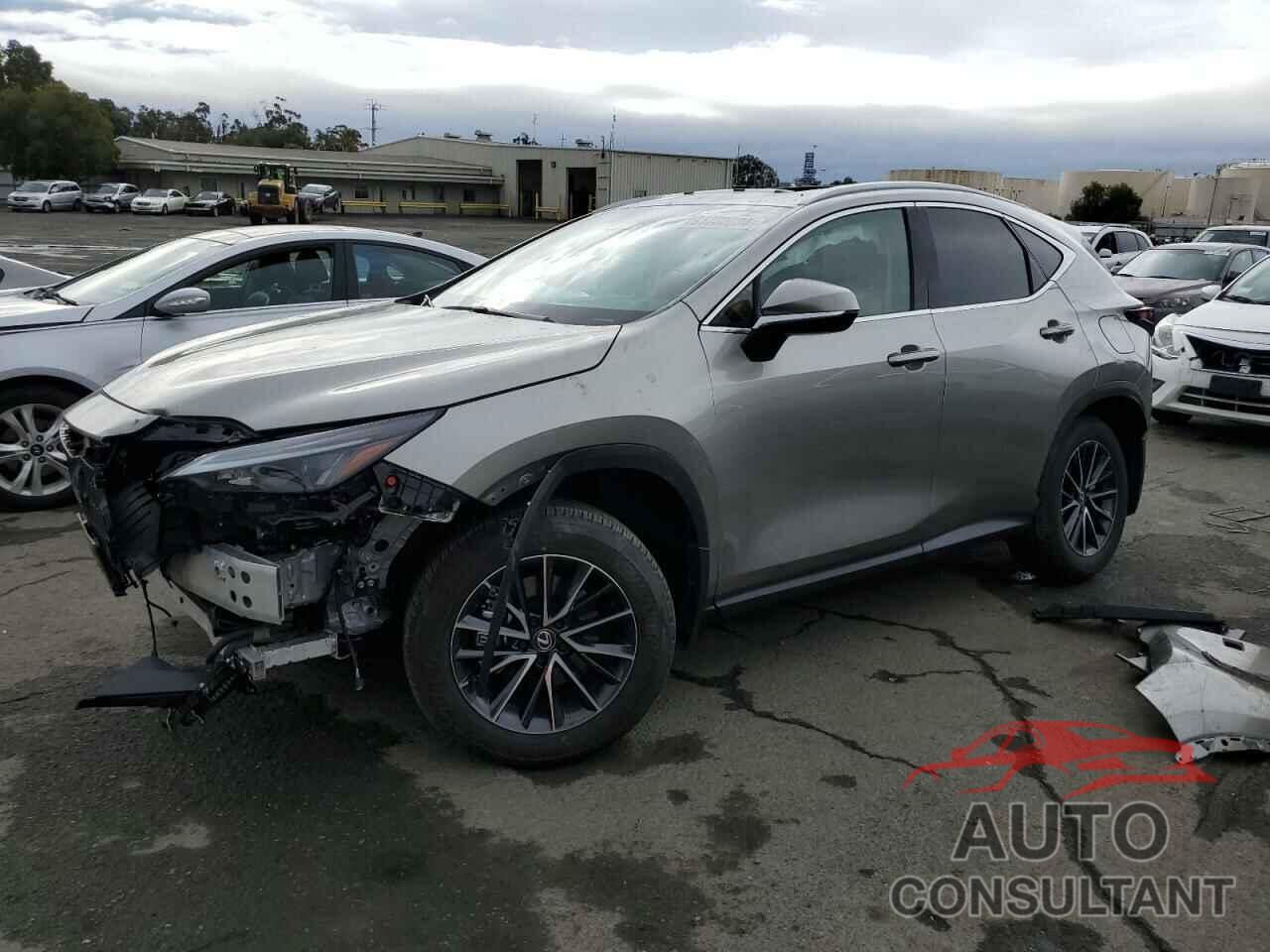 LEXUS NX 350H BA 2024 - 2T2GKCEZ8RC026538