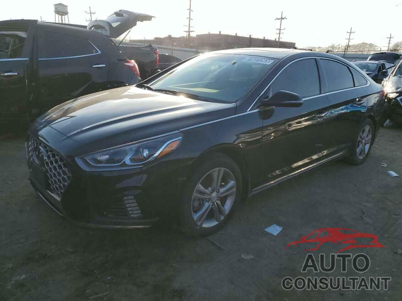 HYUNDAI SONATA 2019 - 5NPE34AF2KH815684
