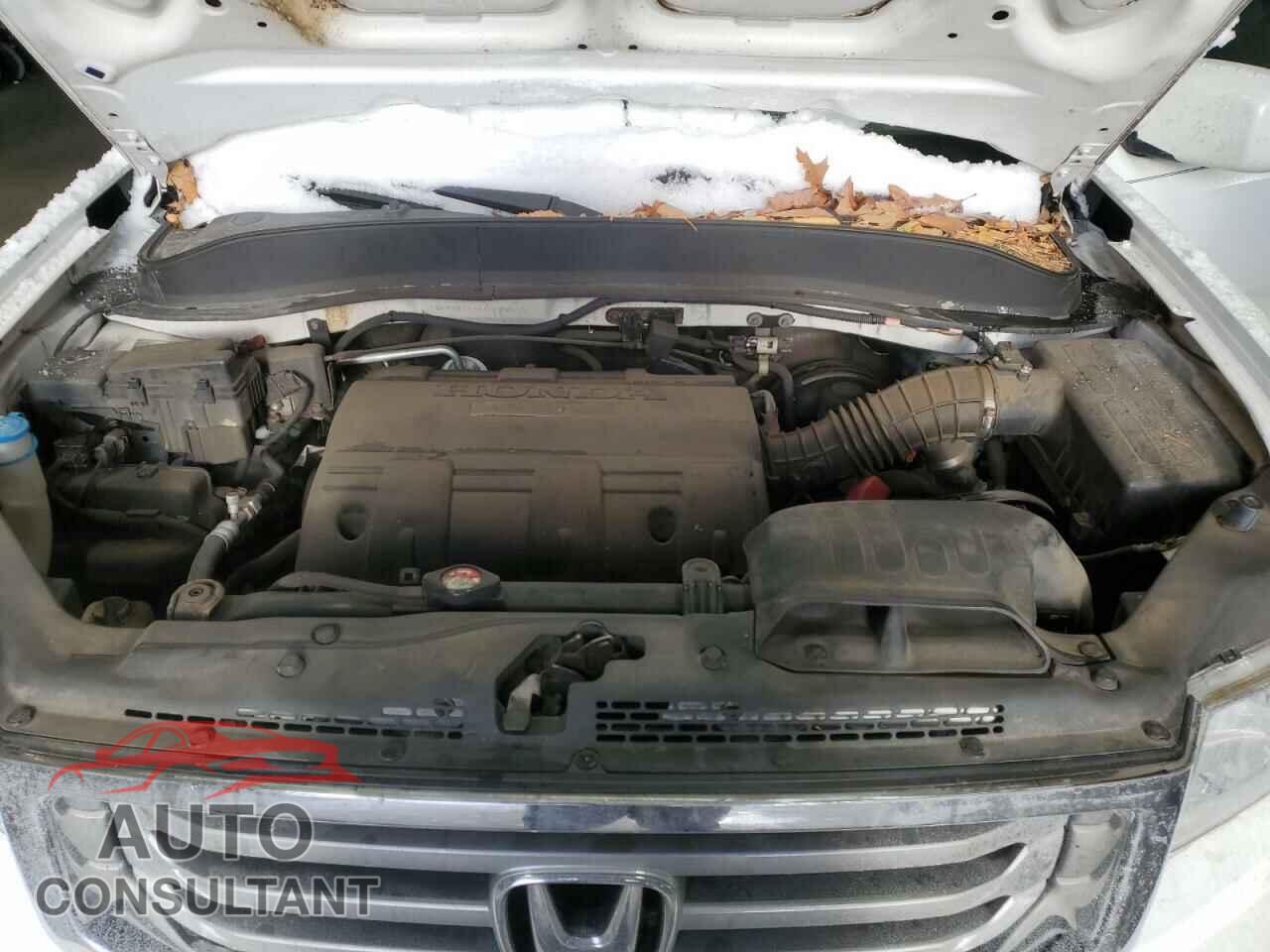 HONDA RIDGELINE 2014 - 5FPYK1F55EB004647