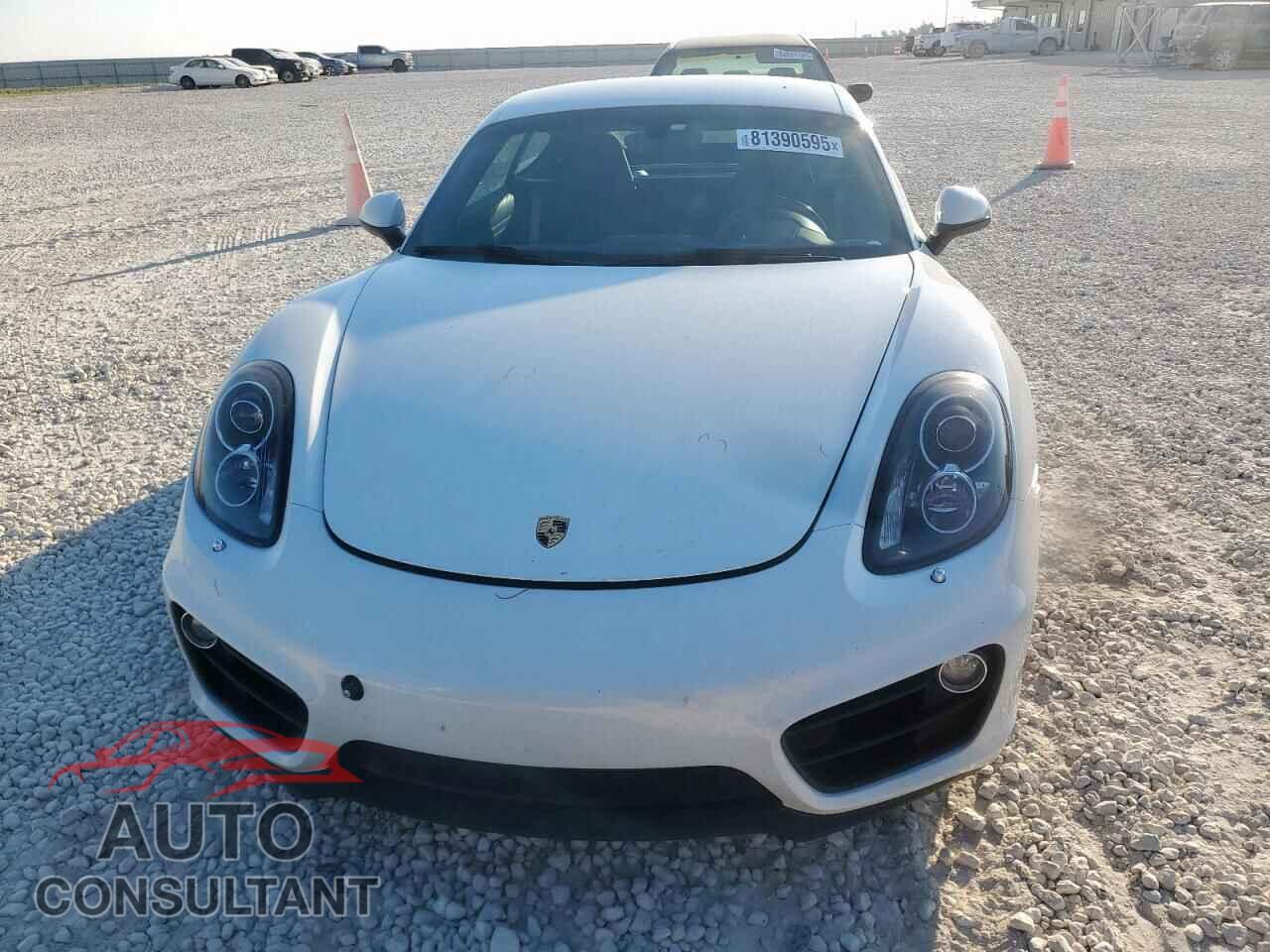 PORSCHE CAYMAN 2015 - WP0AA2A82FK161271