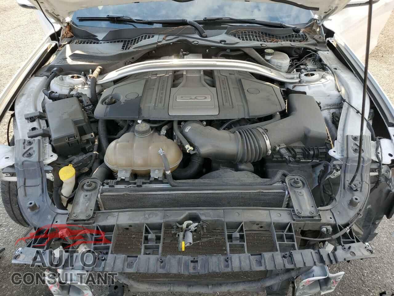 FORD MUSTANG 2019 - 1FA6P8CF4K5189736