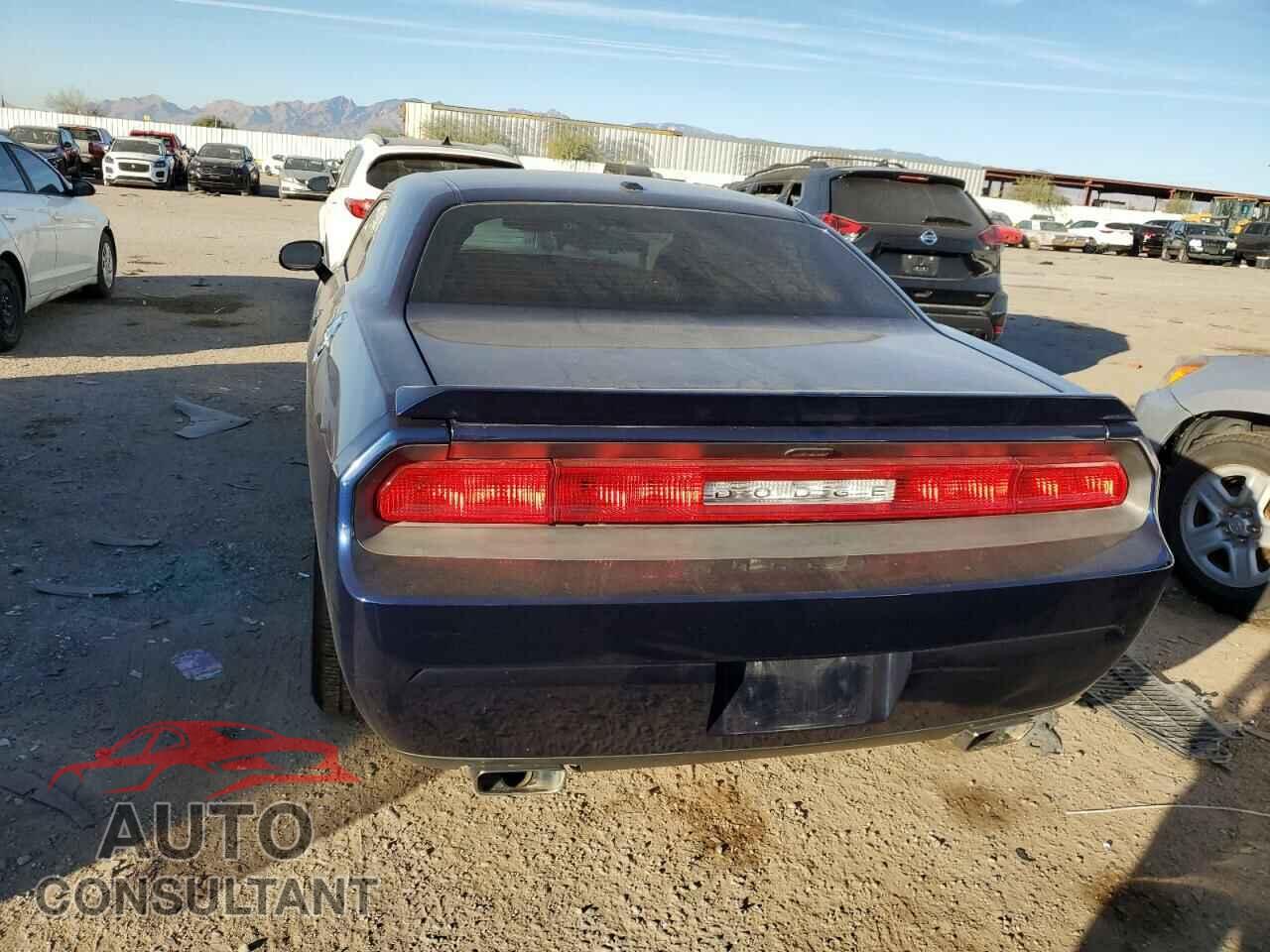 DODGE CHALLENGER 2013 - 2C3CDYAG5DH596398