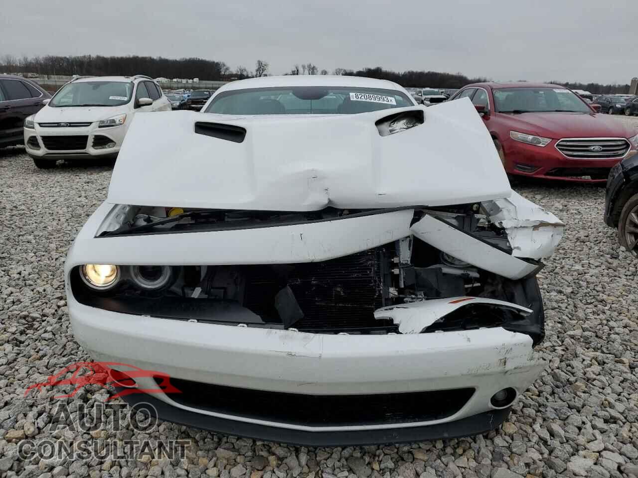 DODGE CHALLENGER 2017 - 2C3CDZGG2HH619896