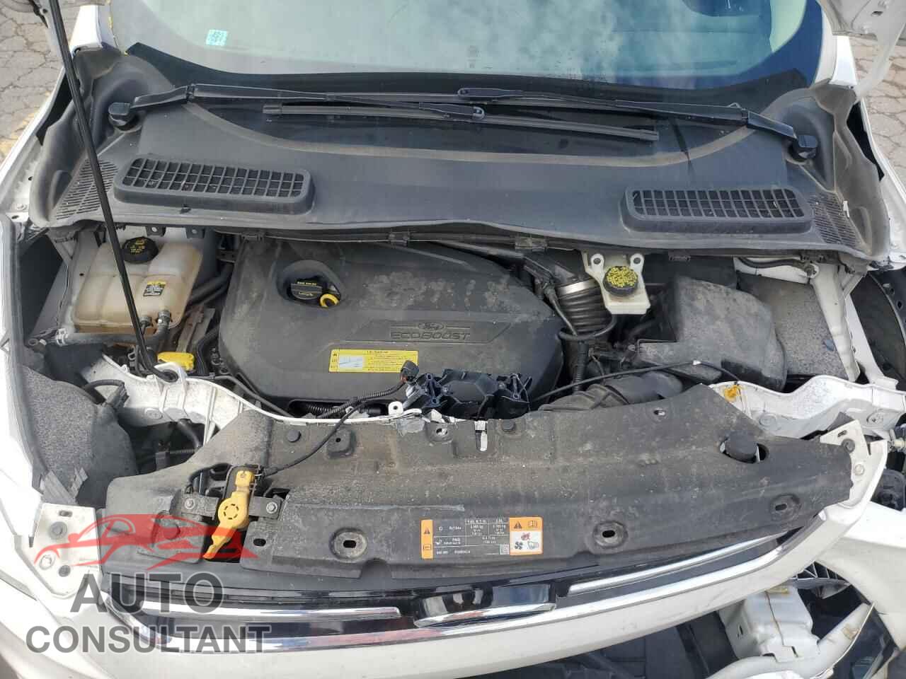 FORD ESCAPE 2013 - 1FMCU0HX3DUB30593