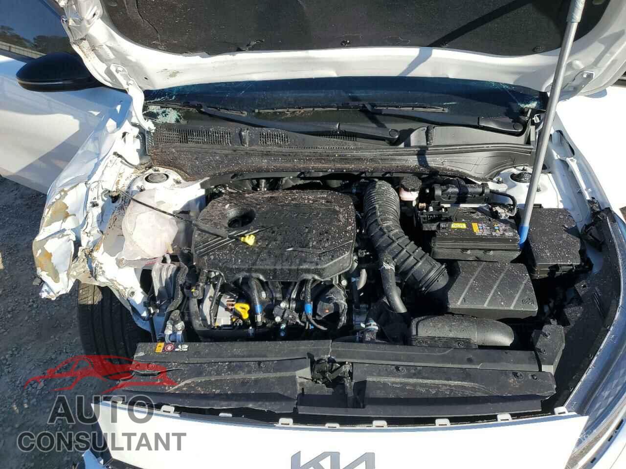 KIA FORTE 2024 - 3KPF44AC0RE828357