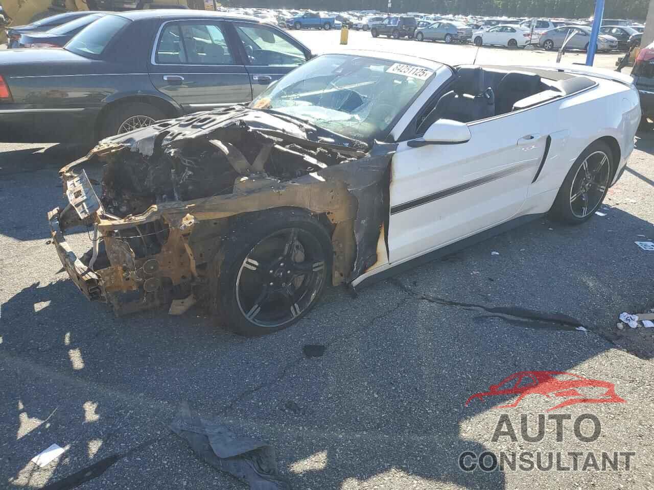 FORD MUSTANG 2021 - 1FATP8FF1M5135425