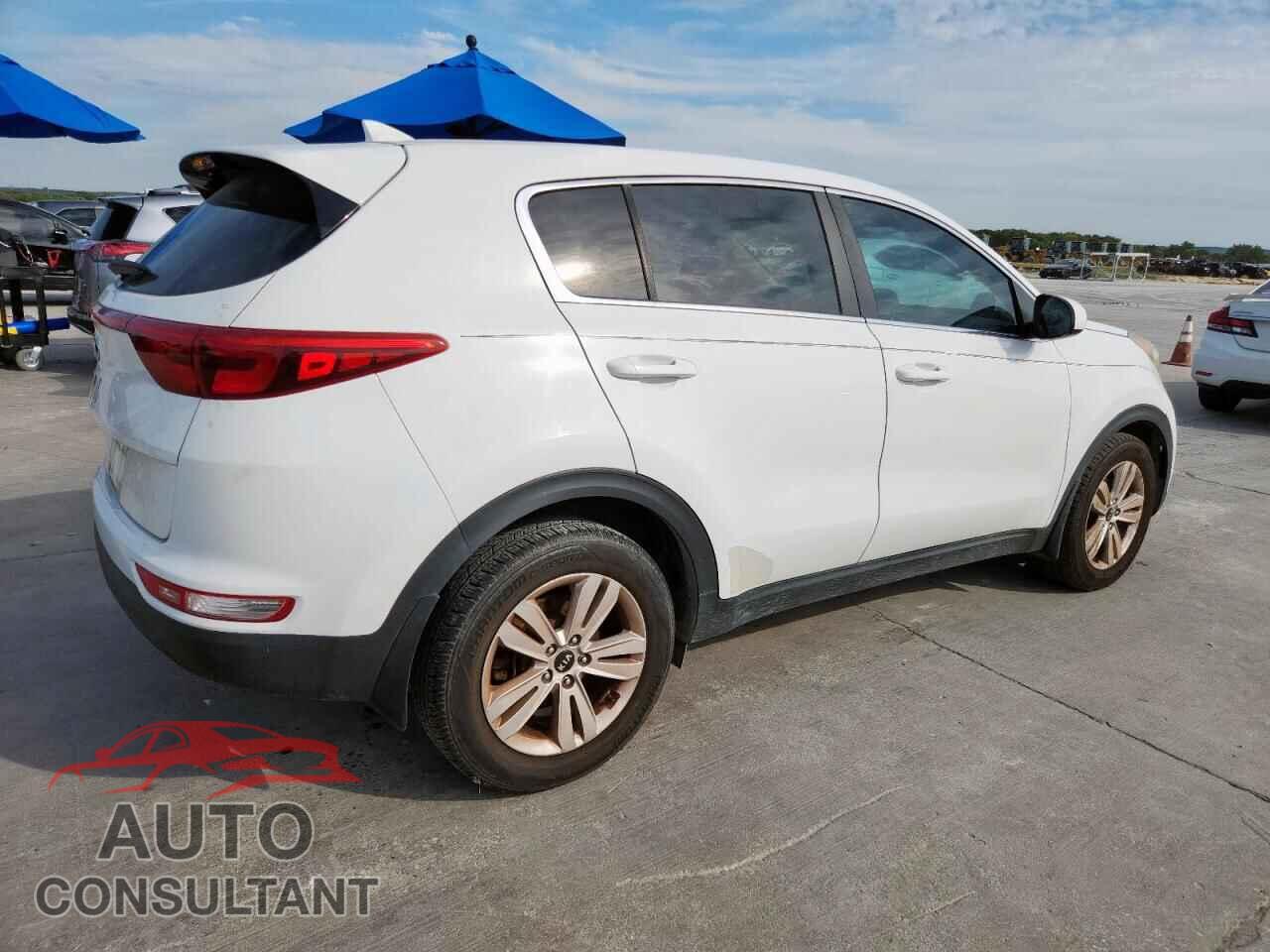 KIA SPORTAGE 2017 - KNDPM3ACXH7204658