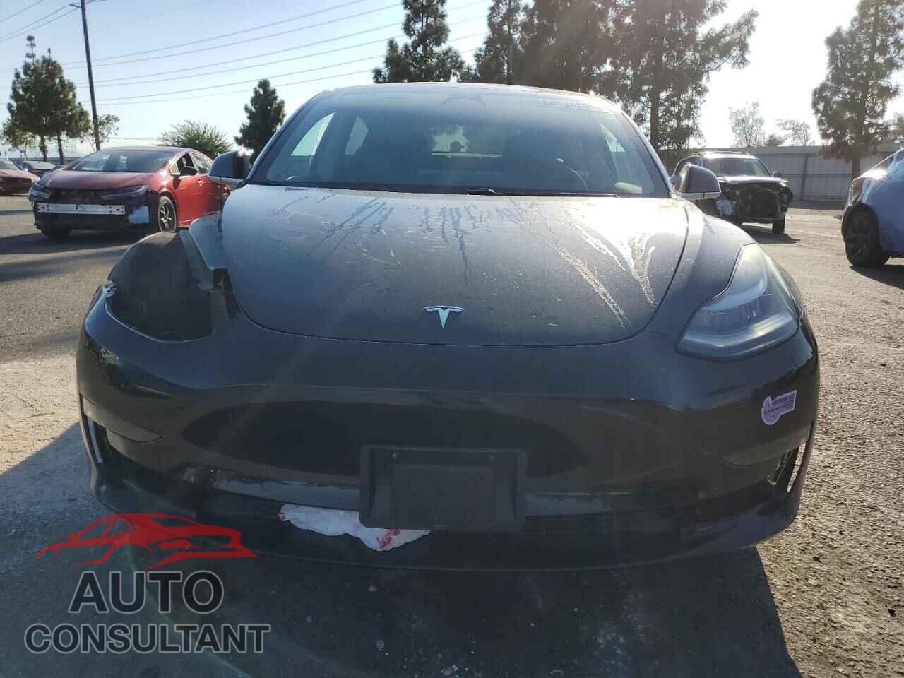TESLA MODEL 3 2018 - 5YJ3E1EA8JF157249