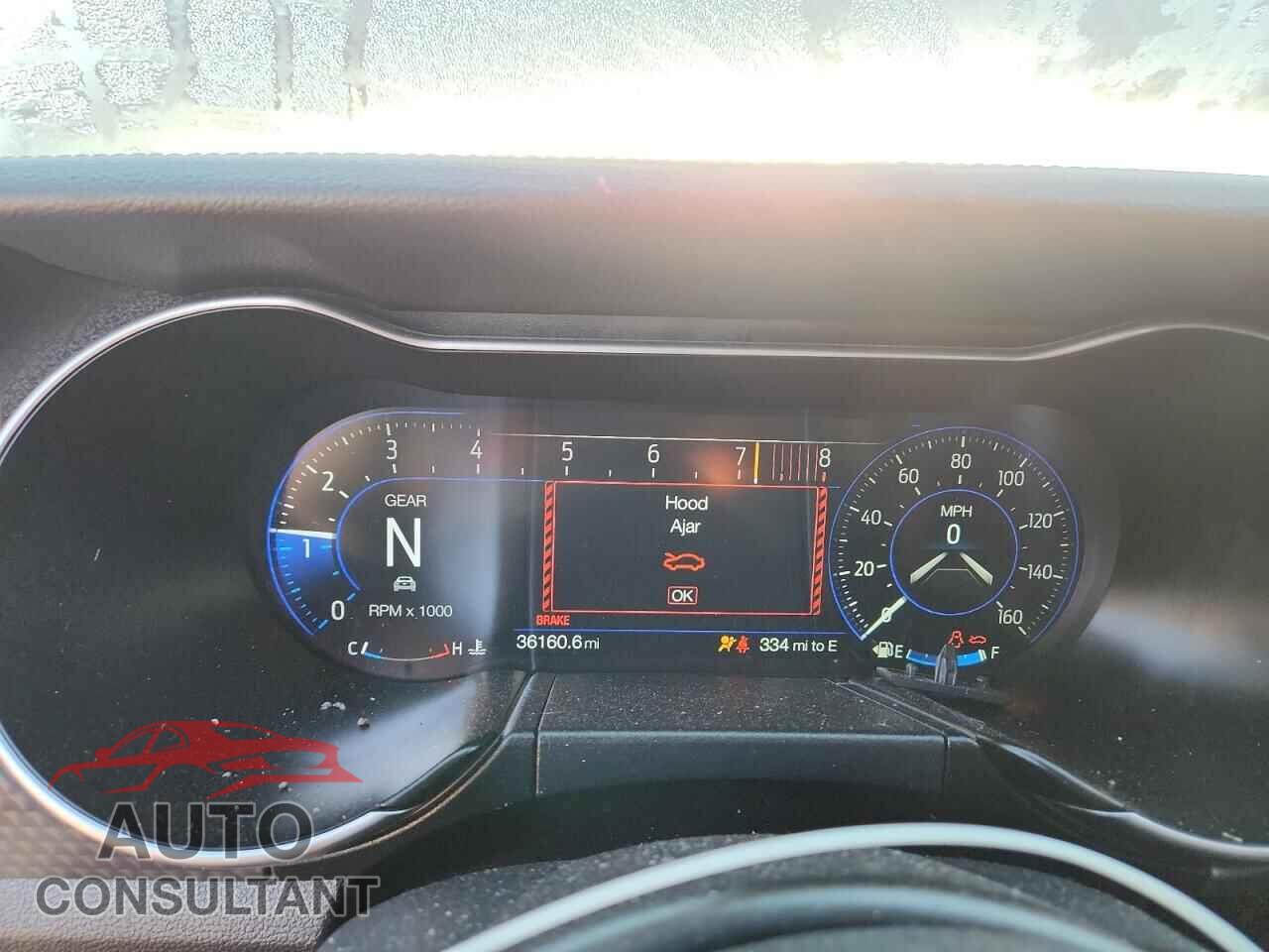 FORD MUSTANG 2019 - 1FA6P8CF0K5196442