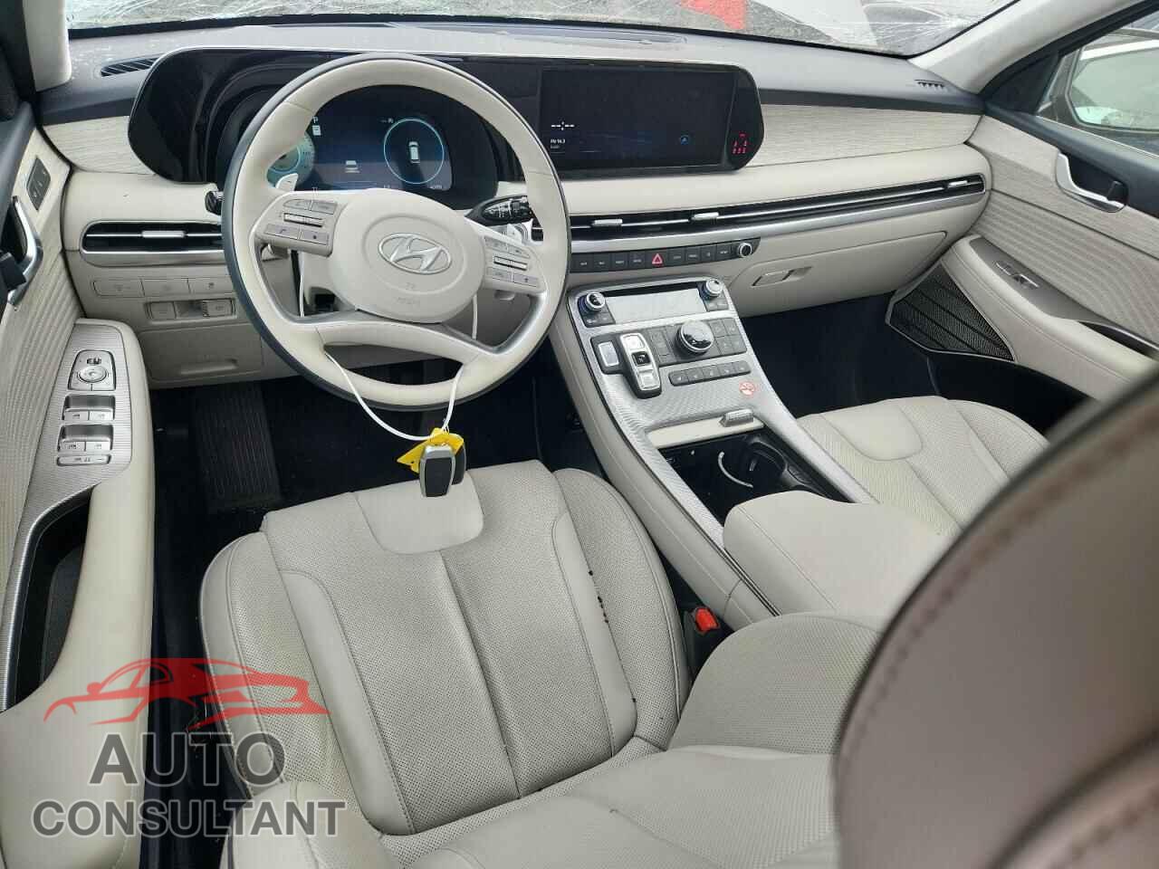 HYUNDAI PALISADE 2024 - KM8R7DGEXRU720127
