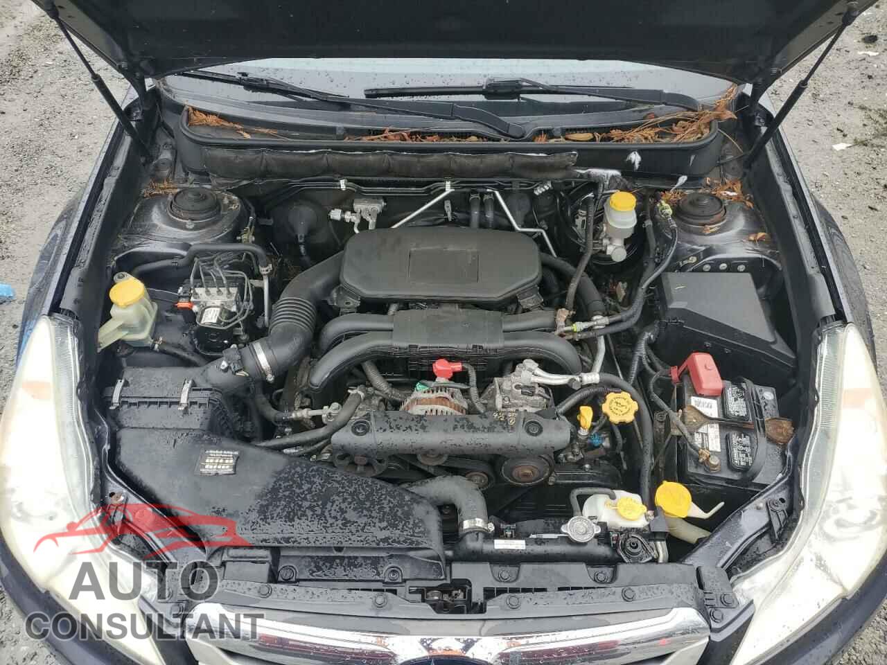 SUBARU OUTBACK 2011 - 4S4BRBCC1B3370872