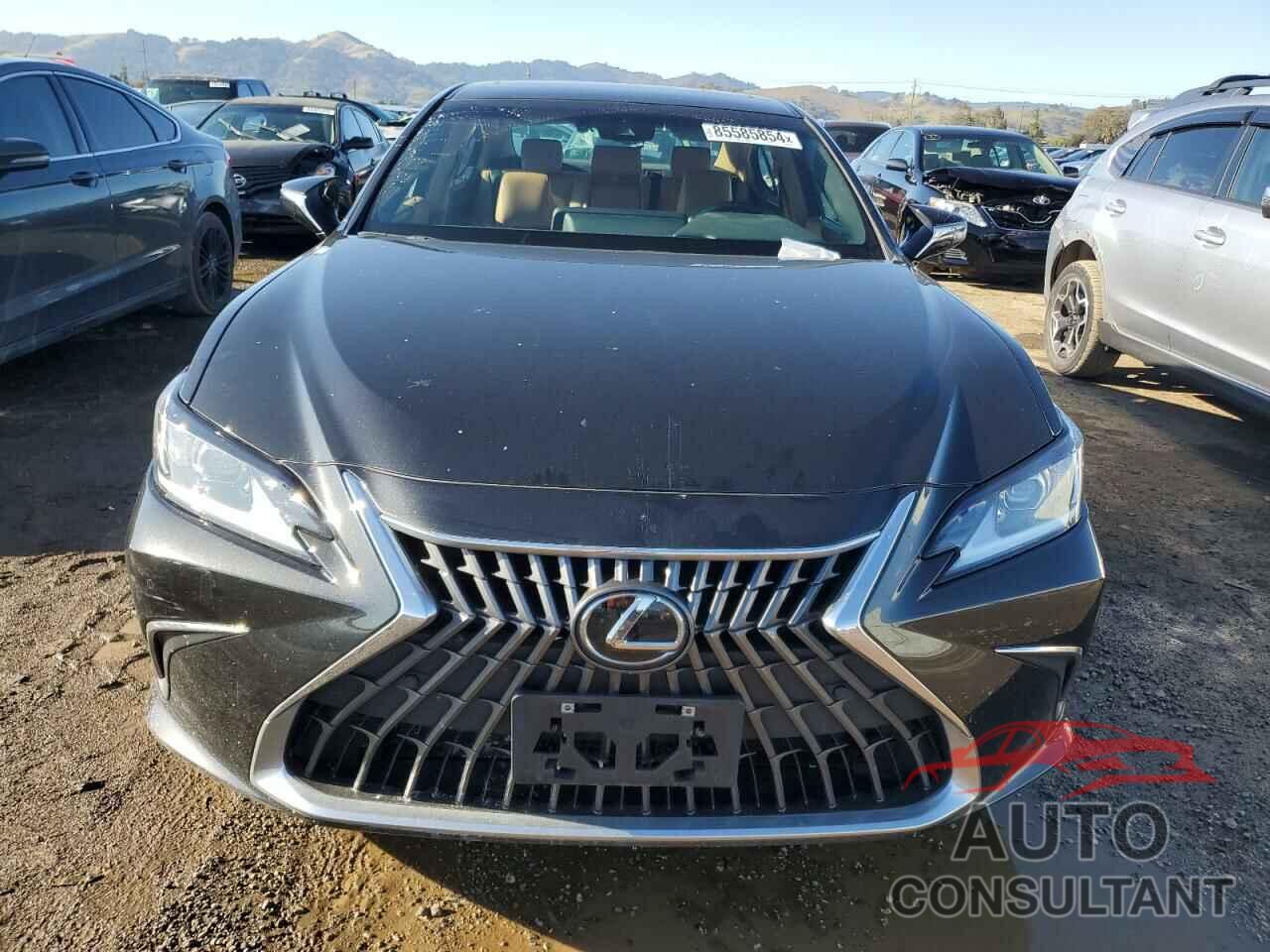 LEXUS ES300 2023 - 58ADA1C10PU028316