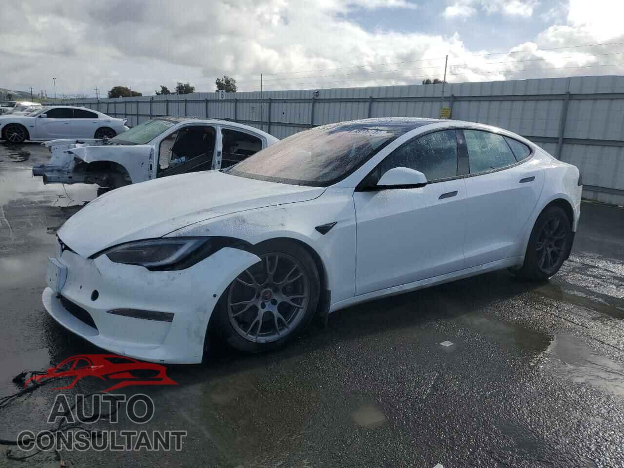 TESLA MODEL S 2023 - 5YJSA1E50PF499829