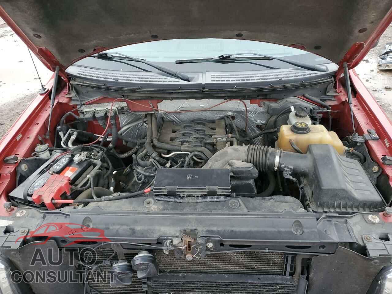 FORD F-150 2011 - 1FTFX1EF9BFA22152