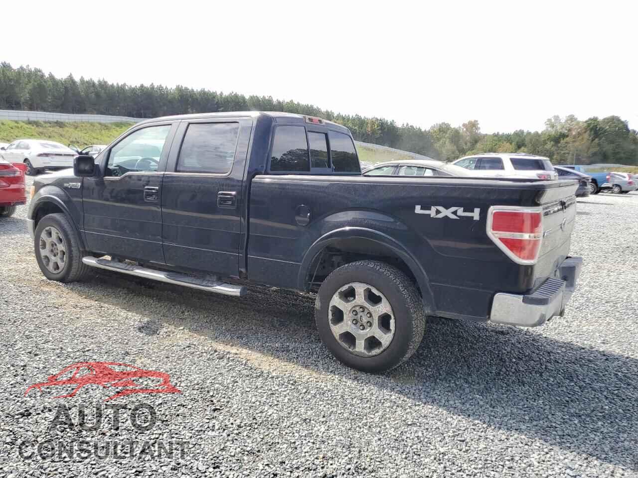 FORD F-150 2009 - 1FTPW14V69FA96123