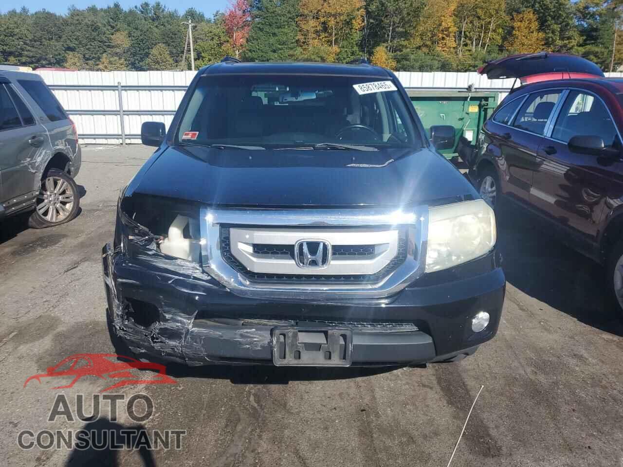 HONDA PILOT 2010 - 5FNYF4H61AB036087