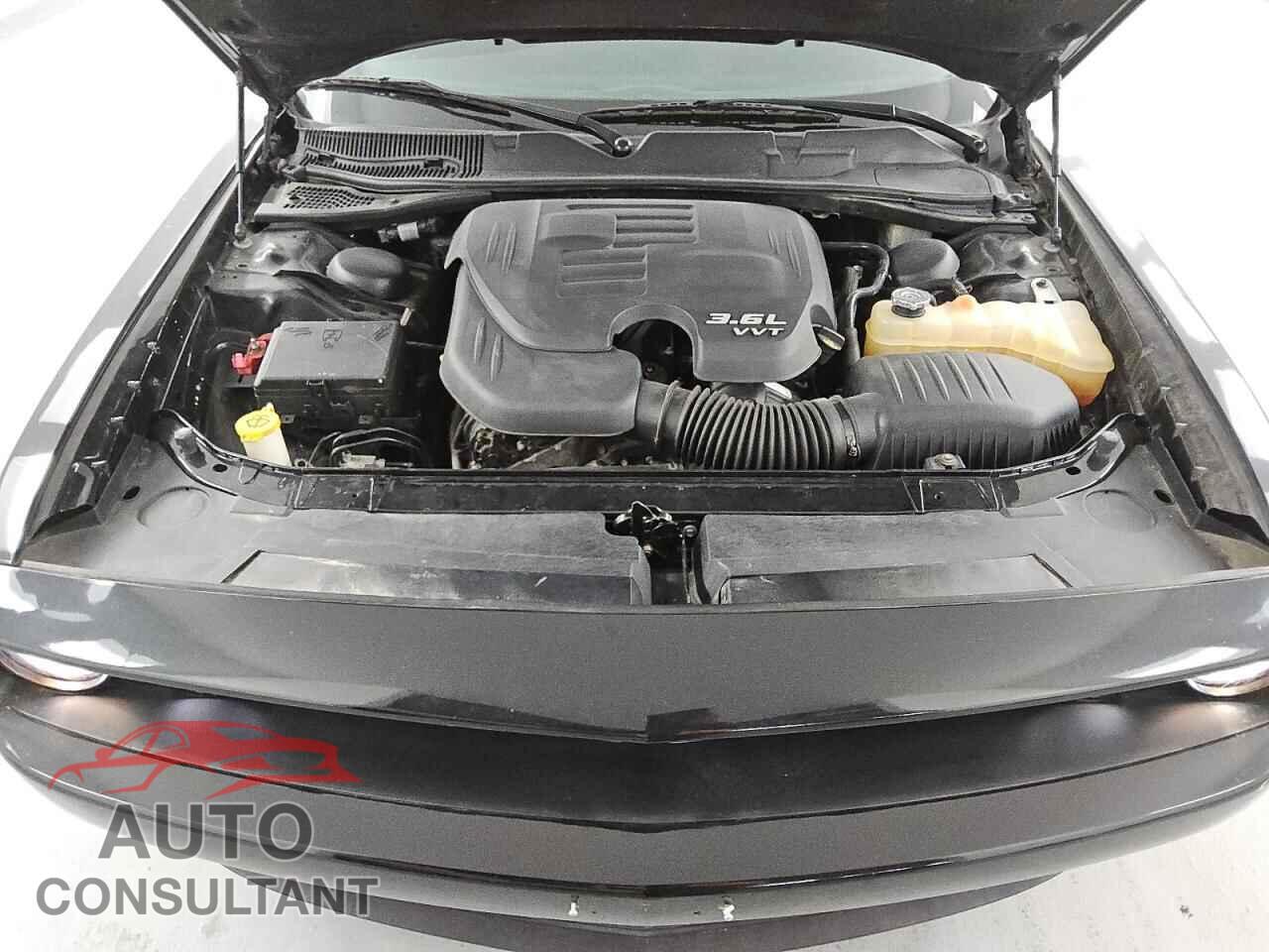 DODGE CHALLENGER 2019 - 2C3CDZAG6KH687733