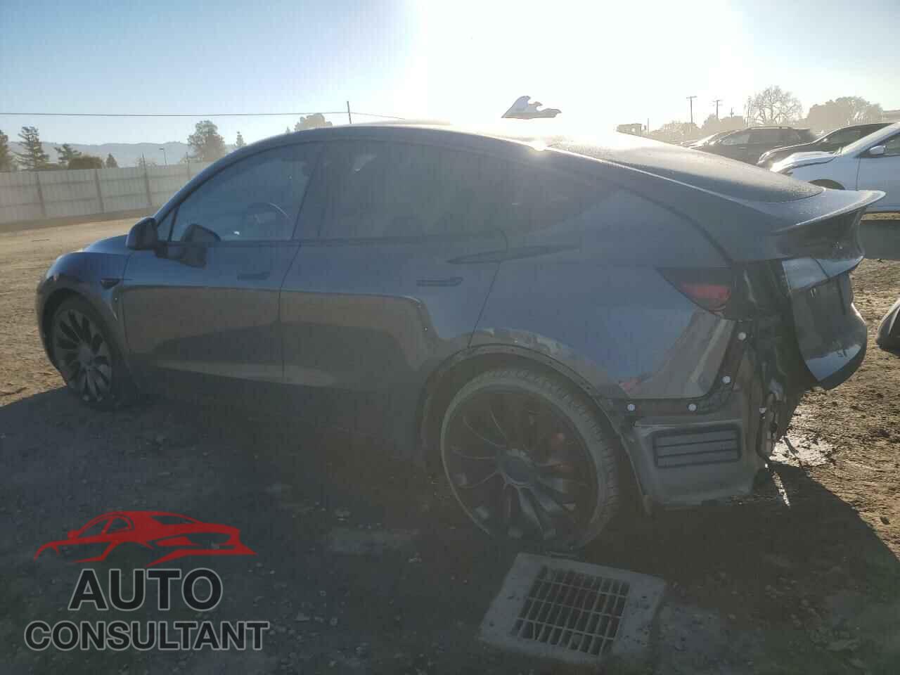 TESLA MODEL Y 2022 - 7SAYGDEF2NF459965