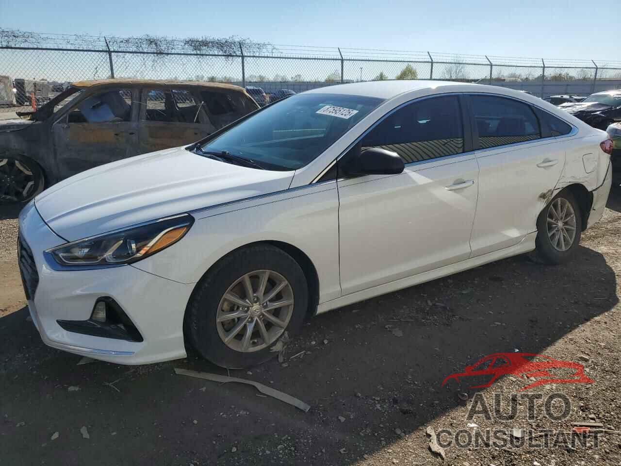 HYUNDAI SONATA 2019 - 5NPE24AF6KH761583