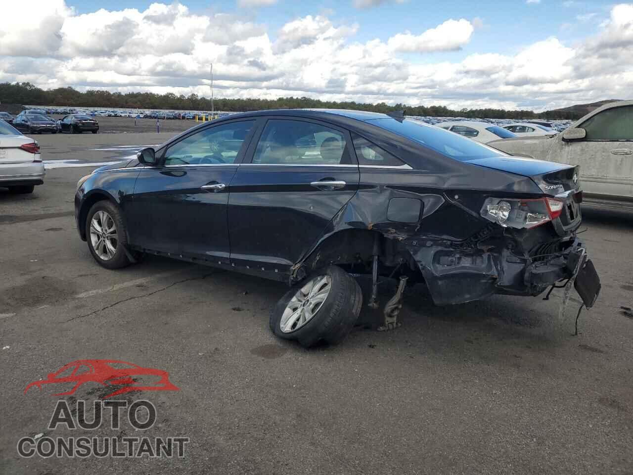 HYUNDAI SONATA 2013 - 5NPEC4AC3DH696407