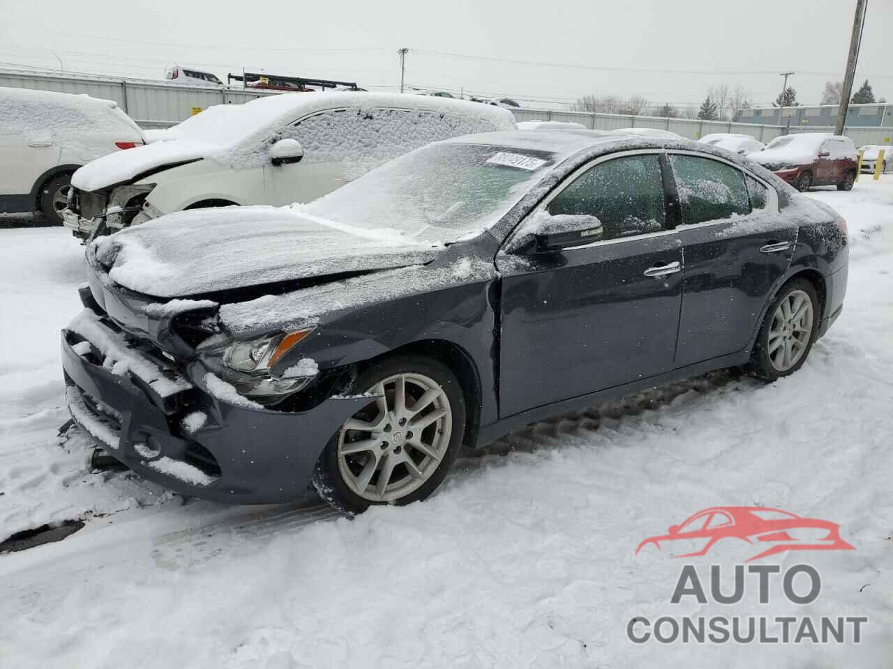 NISSAN MAXIMA 2009 - 1N4AA51E19C858992