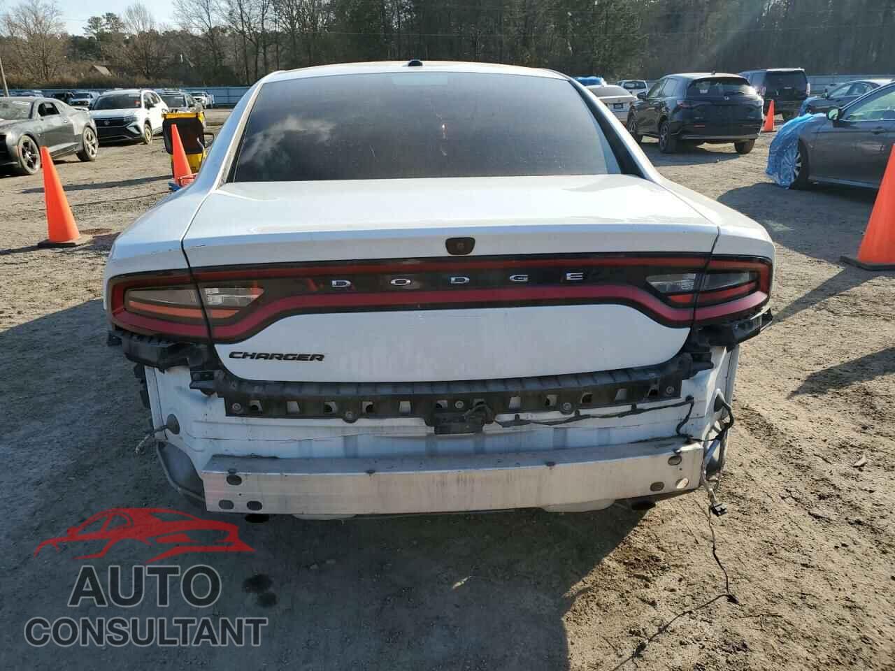 DODGE CHARGER 2019 - 2C3CDXBG2KH640153