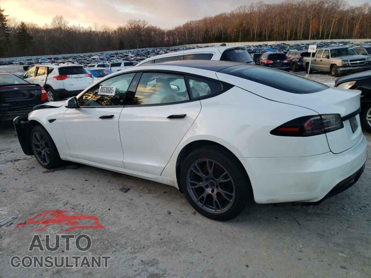 TESLA MODEL S 2023 - 5YJSA1E55PF508489