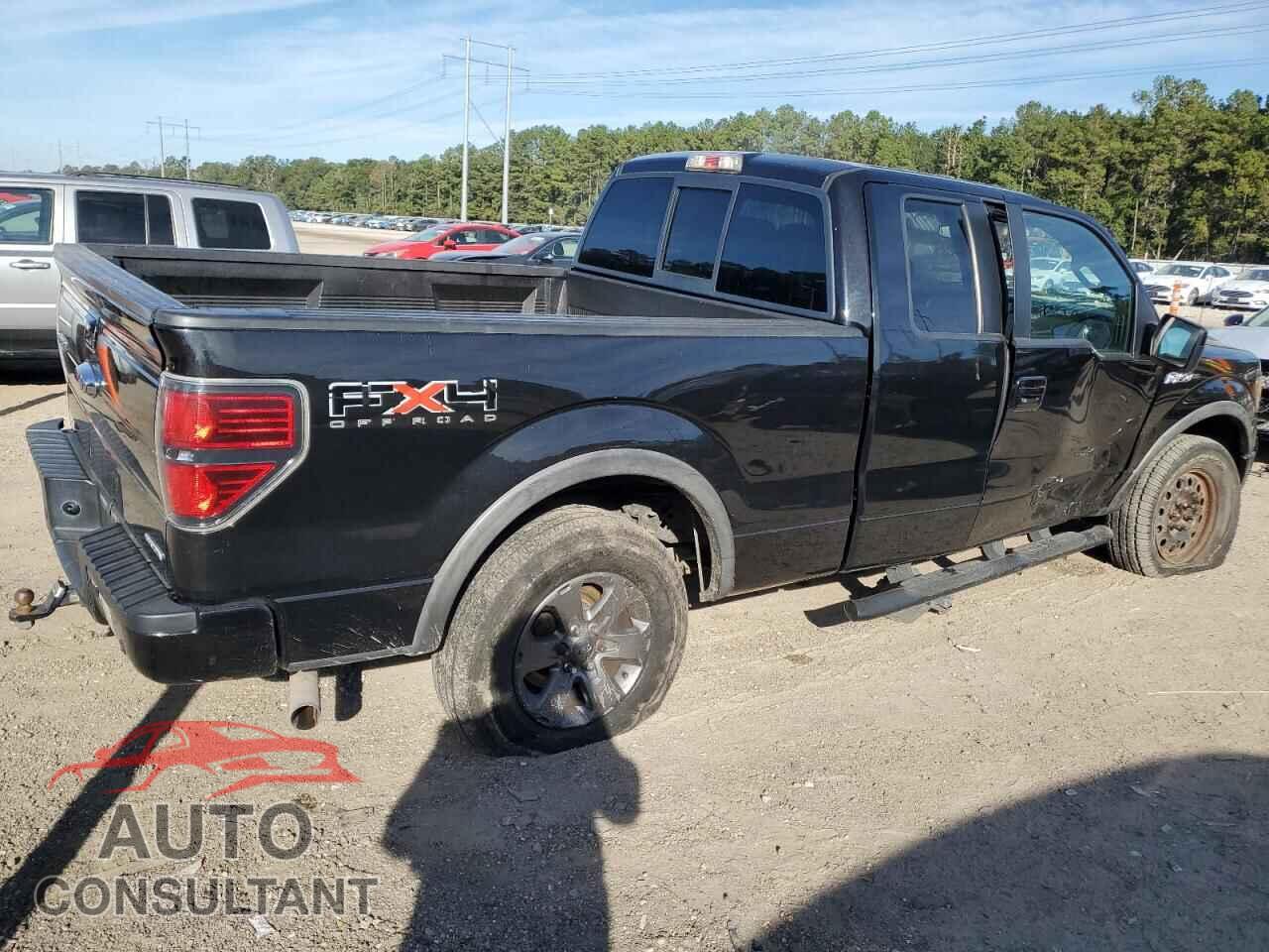 FORD F-150 2011 - 1FTFX1EF8BKD07206