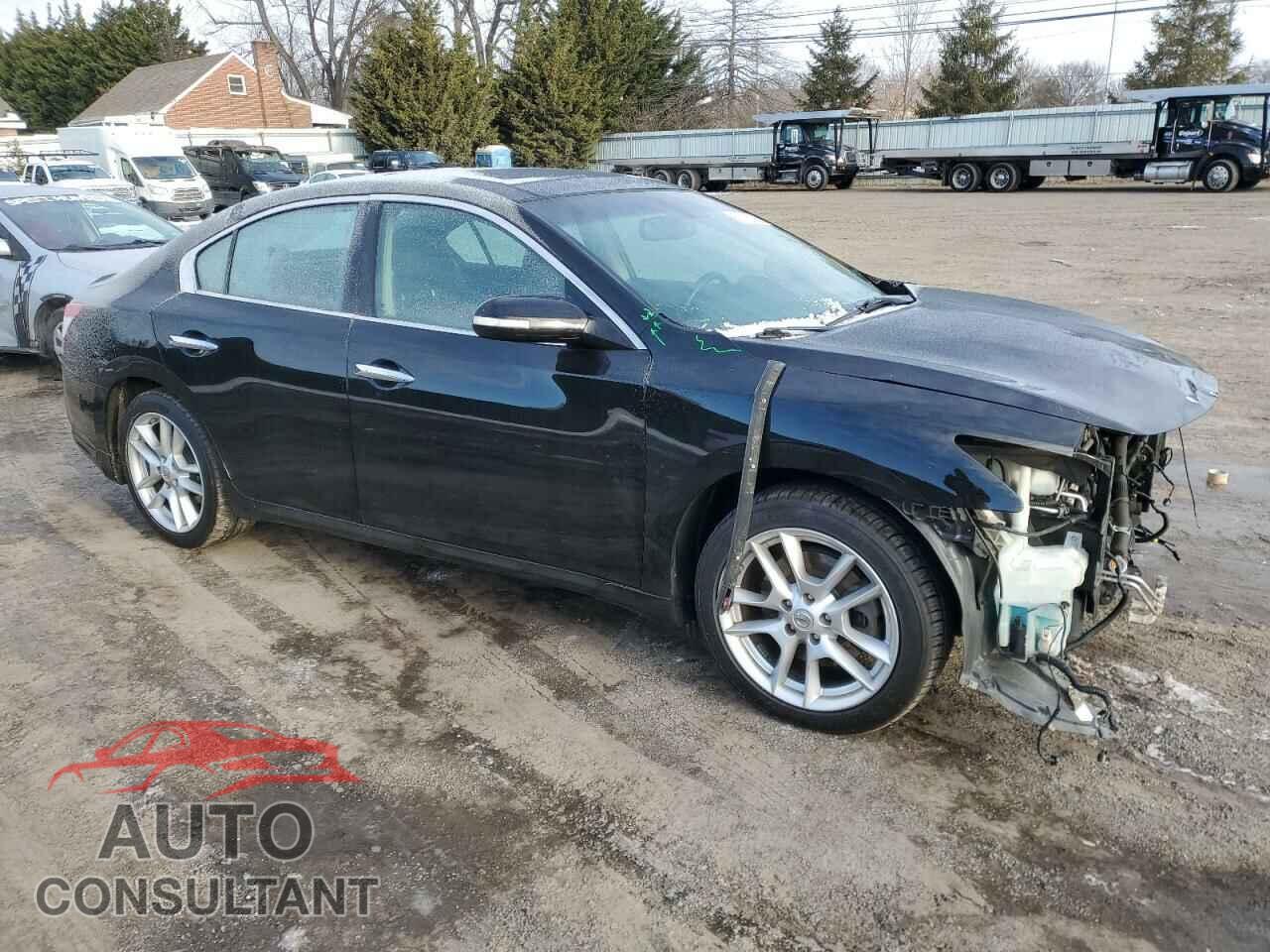 NISSAN MAXIMA 2011 - 1N4AA5AP7BC825602