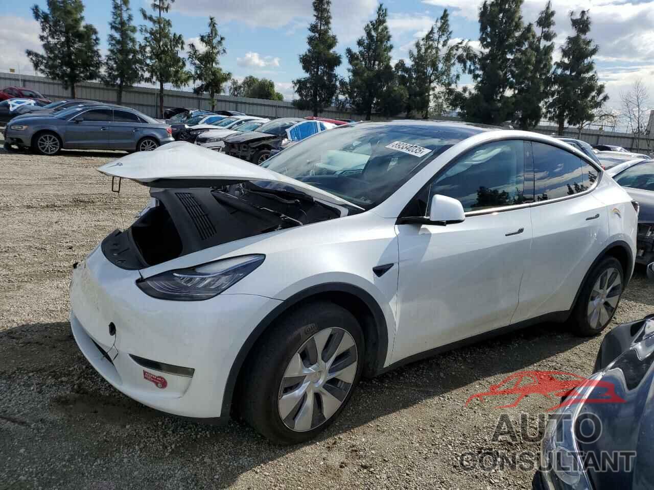 TESLA MODEL Y 2023 - 7SAYGDEE5PA109303
