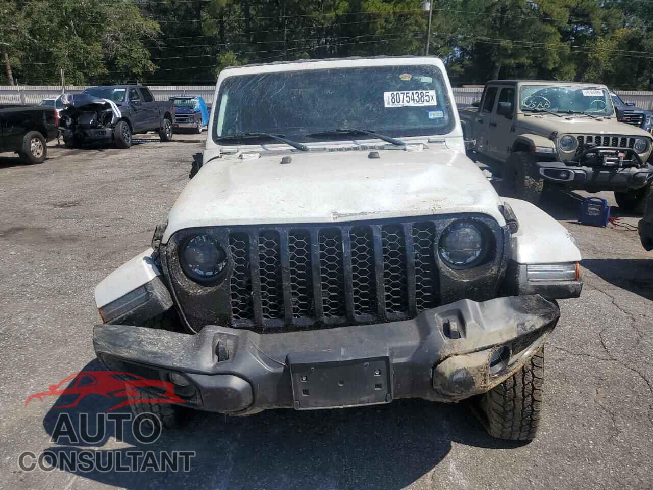 JEEP GLADIATOR 2023 - 1C6HJTAG1PL561076
