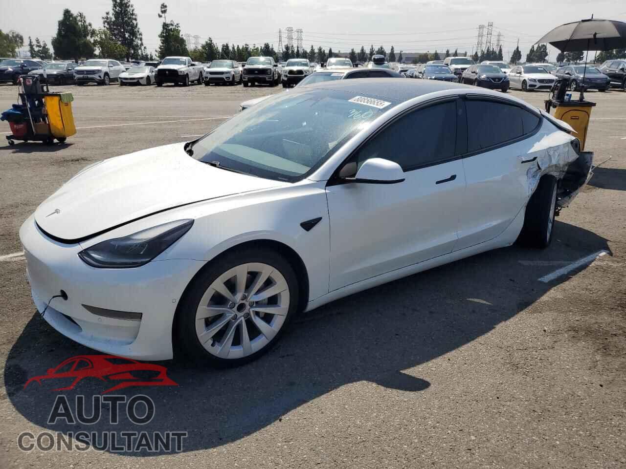 TESLA MODEL 3 2021 - 5YJ3E1EA9MF908332