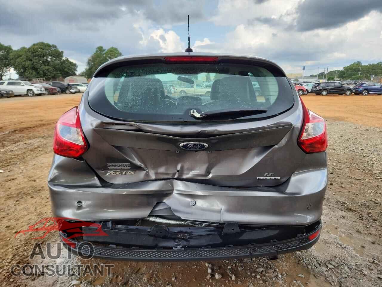 FORD FOCUS 2014 - 1FADP3K25EL121454