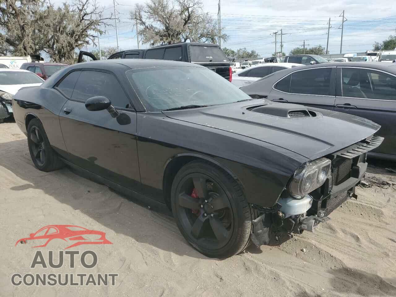 DODGE CHALLENGER 2013 - 2C3CDYBT8DH531234
