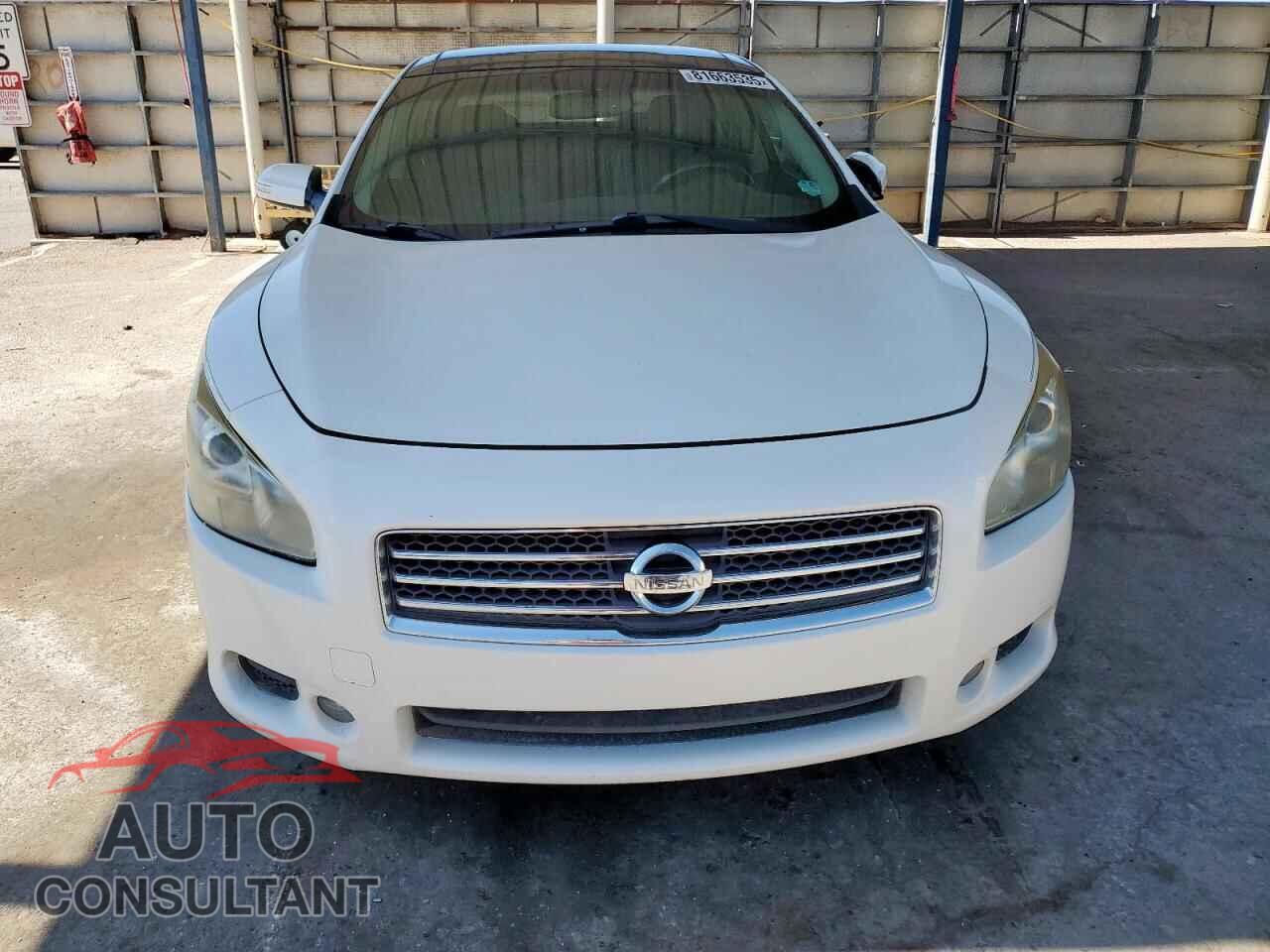 NISSAN MAXIMA 2010 - 1N4AA5AP1AC824931