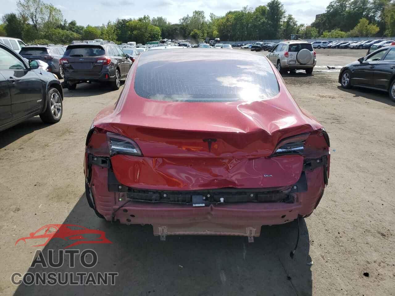 TESLA MODEL 3 2019 - 5YJ3E1EB7KF191659