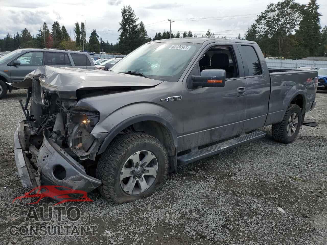 FORD F-150 2013 - 1FTFX1EF9DFA70415