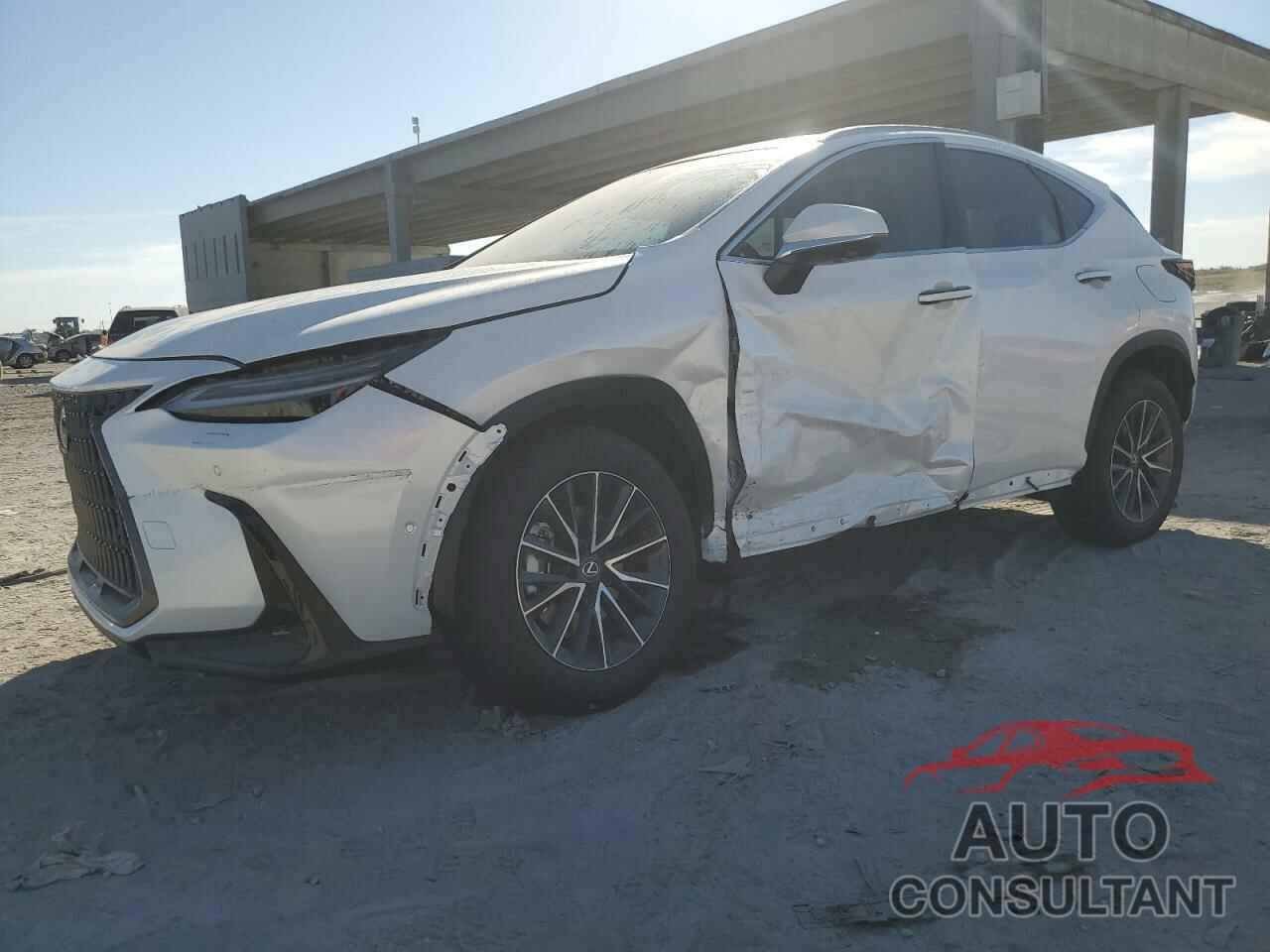 LEXUS NX 350H BA 2025 - 2T2HKCEZ4SC038891