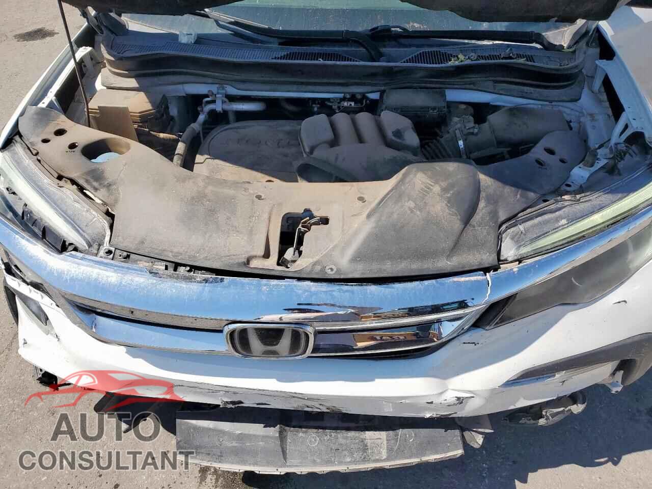 HONDA PILOT 2020 - 5FNYF6H5XLB006964