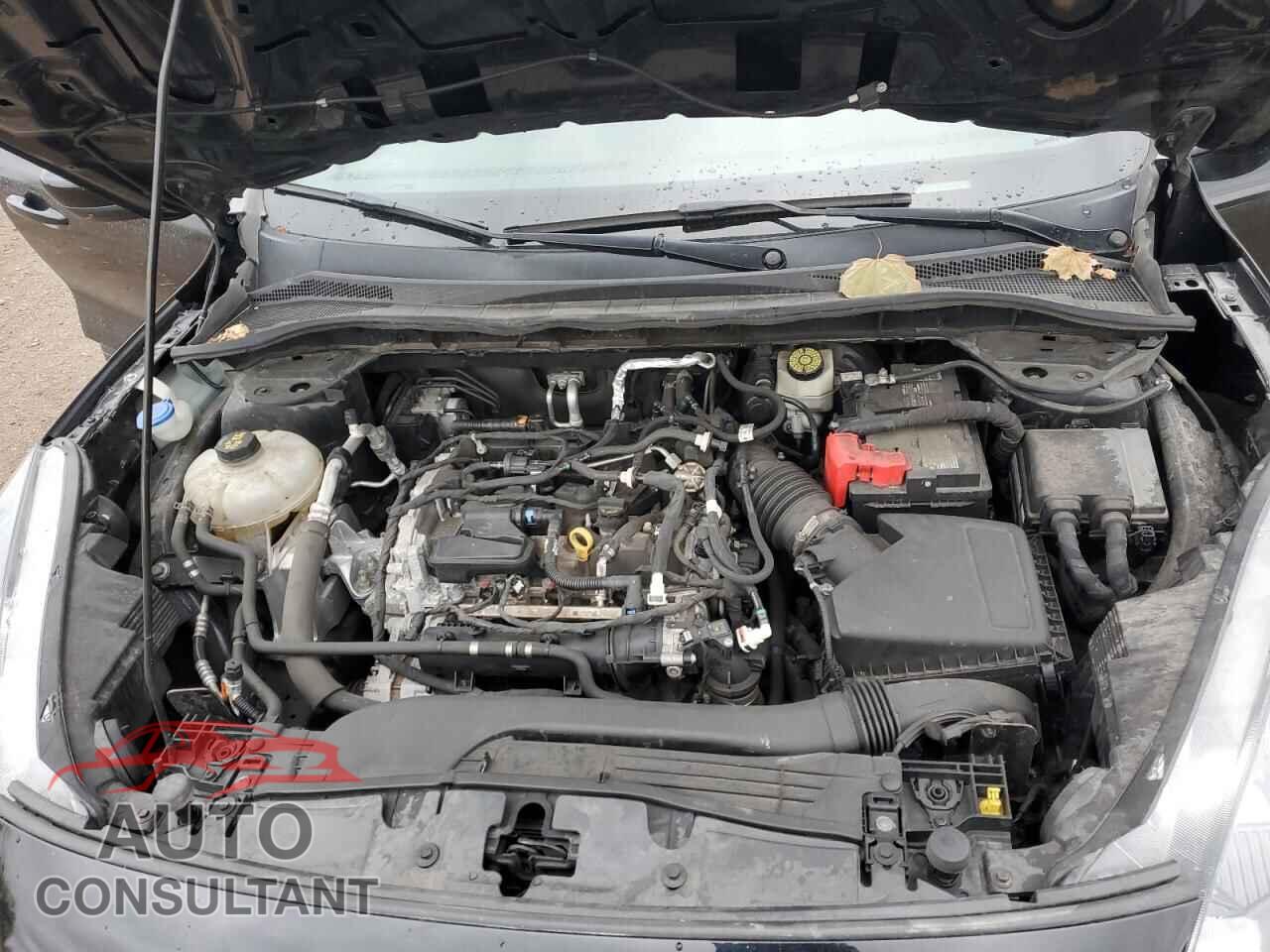 FORD ESCAPE 2021 - 1FMCU0G68MUB33515