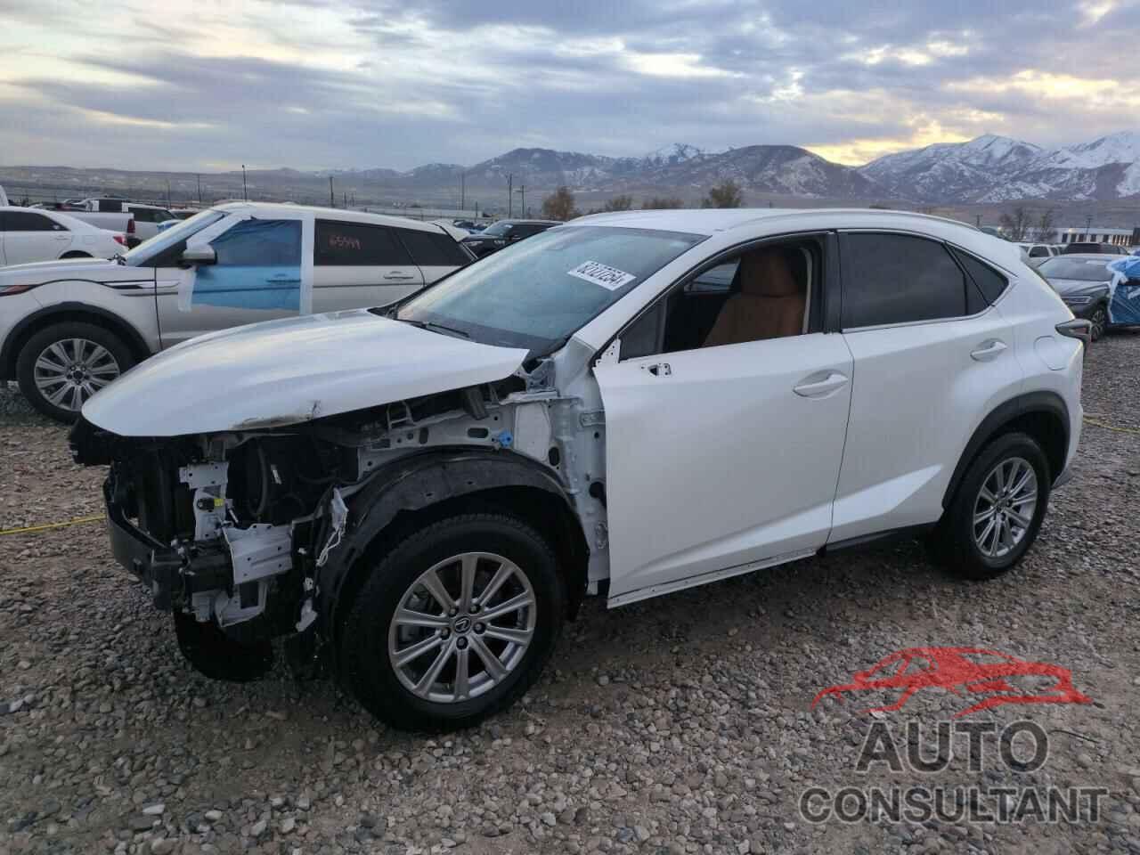 LEXUS NX 2020 - JTJAARBZ9L5017594