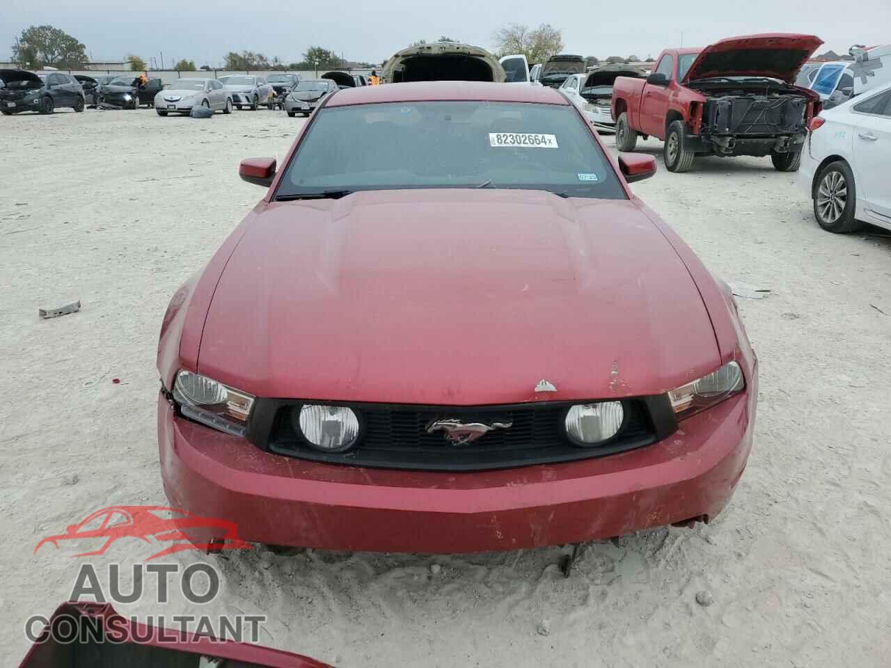 FORD MUSTANG 2010 - 1ZVBP8CH2A5141108
