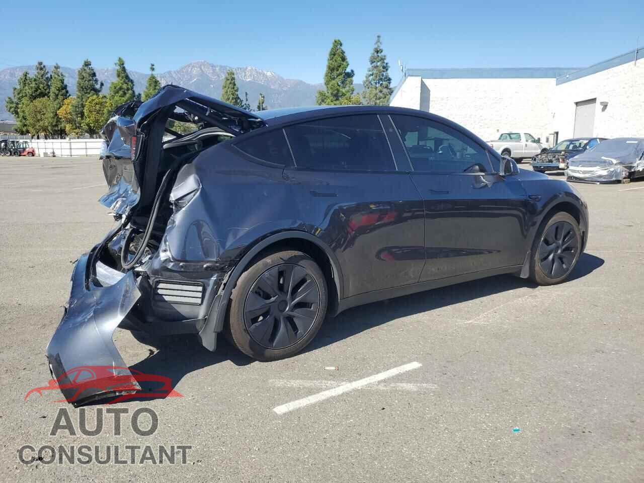 TESLA MODEL Y 2024 - 7SAYGDED7RF106609